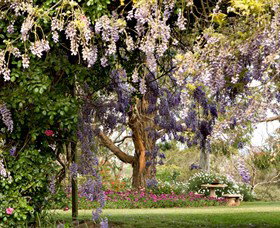 Wombat Heights Orchard And Grog Shed - Sunshine Coast Tourism 2