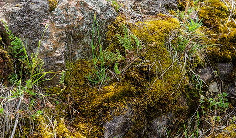 Hopetoun Falls Walking Track - Holiday Sunshine Coast 2