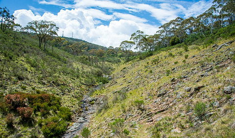 Hopetoun Falls Walking Track - Holiday Sunshine Coast 3
