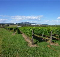 Hedberg Hill Wines - Sunshine Coast Tourism