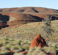 Camel Trail Millstream-Chichester National Park - Sunshine Coast Tourism