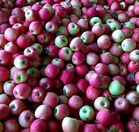 Hillside Orchard - Sunshine Coast Tourism