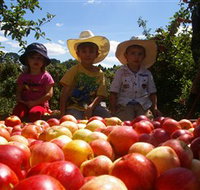 Bonny Glen Fruits - Sunshine Coast Tourism