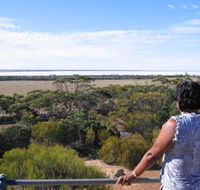 Lake Grace Lookout - Sunshine Coast Tourism