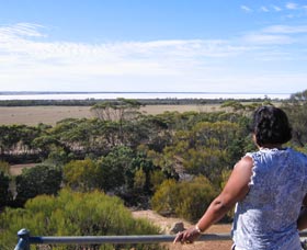Lake Grace Lookout - Sunshine Coast Tourism 0