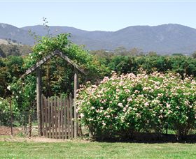 Samaria Farm - Holiday Sunshine Coast 2