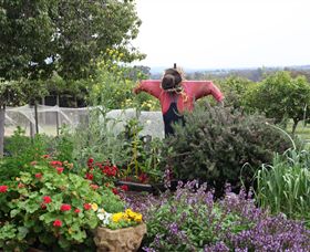 Samaria Farm - Holiday Sunshine Coast 4