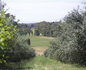 Samaria Farm - Holiday Sunshine Coast 7