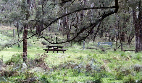 Fourth Crossing Picnic Area - Holiday Sunshine Coast 0