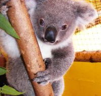 Cooberrie Park Wildlife Sanctuary