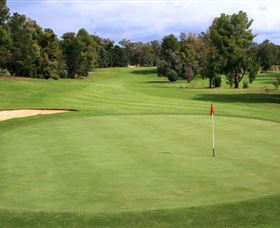 Commercial Golf Course - Sunshine Coast Tourism 1