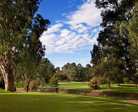Commercial Golf Course - Sunshine Coast Tourism 0