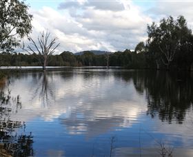 Wonga Wetlands - Holiday Sunshine Coast 1
