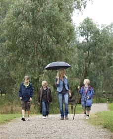 Wonga Wetlands - Holiday Sunshine Coast 0