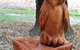 Albury Botanic Gardens - thumb 7