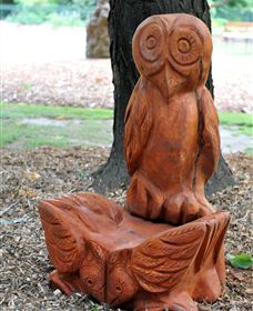 Albury Botanic Gardens - Sunshine Coast Tourism 7