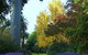 Albury Botanic Gardens - thumb 4