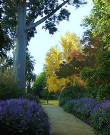 Albury Botanic Gardens - Sunshine Coast Tourism 4