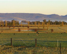 Holbrook NSW Sunshine Coast Tourism