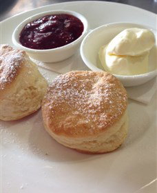 High Valley Cheese Co - Sunshine Coast Tourism 4