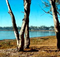 Lake Broadwater Conservation Park - Sunshine Coast Tourism
