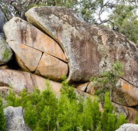 Frog Rock