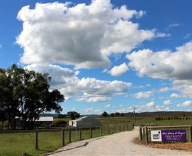 Short Sheep Micro-Winery - Holiday Sunshine Coast 8