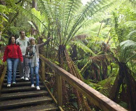  Sunshine Coast Tourism
