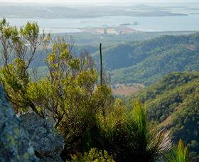 Mount Larcom Climb - Sunshine Coast Tourism 1