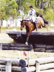 Morgan Park, Warwick - Sunshine Coast Tourism 1