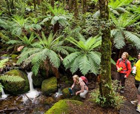  Sunshine Coast Tourism