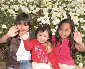 Commonwealth Park - Sunshine Coast Tourism 1