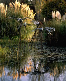 Commonwealth Park - Sunshine Coast Tourism 3