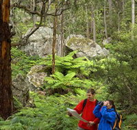Centennial Glen - Sunshine Coast Tourism