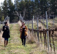 Mount Majura Vineyard - Sunshine Coast Tourism