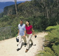 Blue Mountains Walking Tracks - Sunshine Coast Tourism