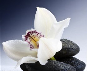 H2O Spa - Sunshine Coast Tourism 1