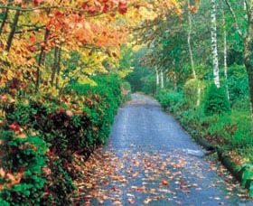 Mount Wilson And Mount Irvine - Sunshine Coast Tourism 0