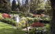 Windyridge Garden Mount Wilson - thumb 0