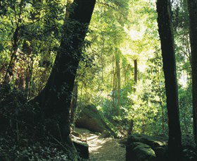 Blue Mountains National Park - Sunshine Coast Tourism 5