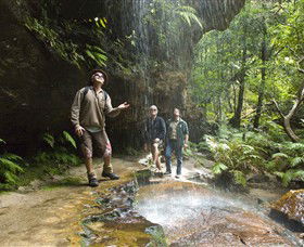 Blue Mountains National Park - Sunshine Coast Tourism 3