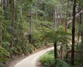 Blue Mountains National Park - Sunshine Coast Tourism 8