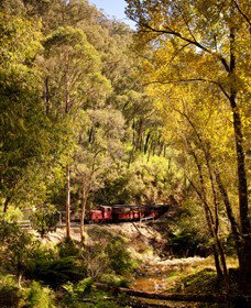 Walhalla Goldfields Railway - Sunshine Coast Tourism 3