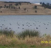 Lake Liddell Recreation Area - Sunshine Coast Tourism