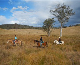 Chapman Valley Horse Riding - Sunshine Coast Tourism 0