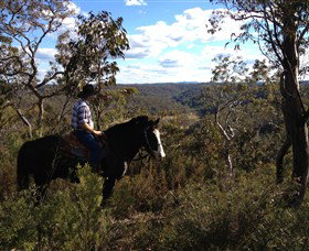 Chapman Valley Horse Riding - Sunshine Coast Tourism 2