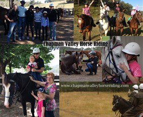 Chapman Valley Horse Riding - Sunshine Coast Tourism 5