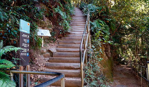 Federal Pass - Holiday Sunshine Coast 1