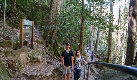 Federal Pass - Holiday Sunshine Coast 3