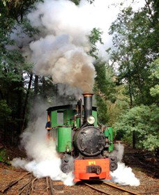 Coal Creek Community Park And Museum - Holiday Sunshine Coast 4